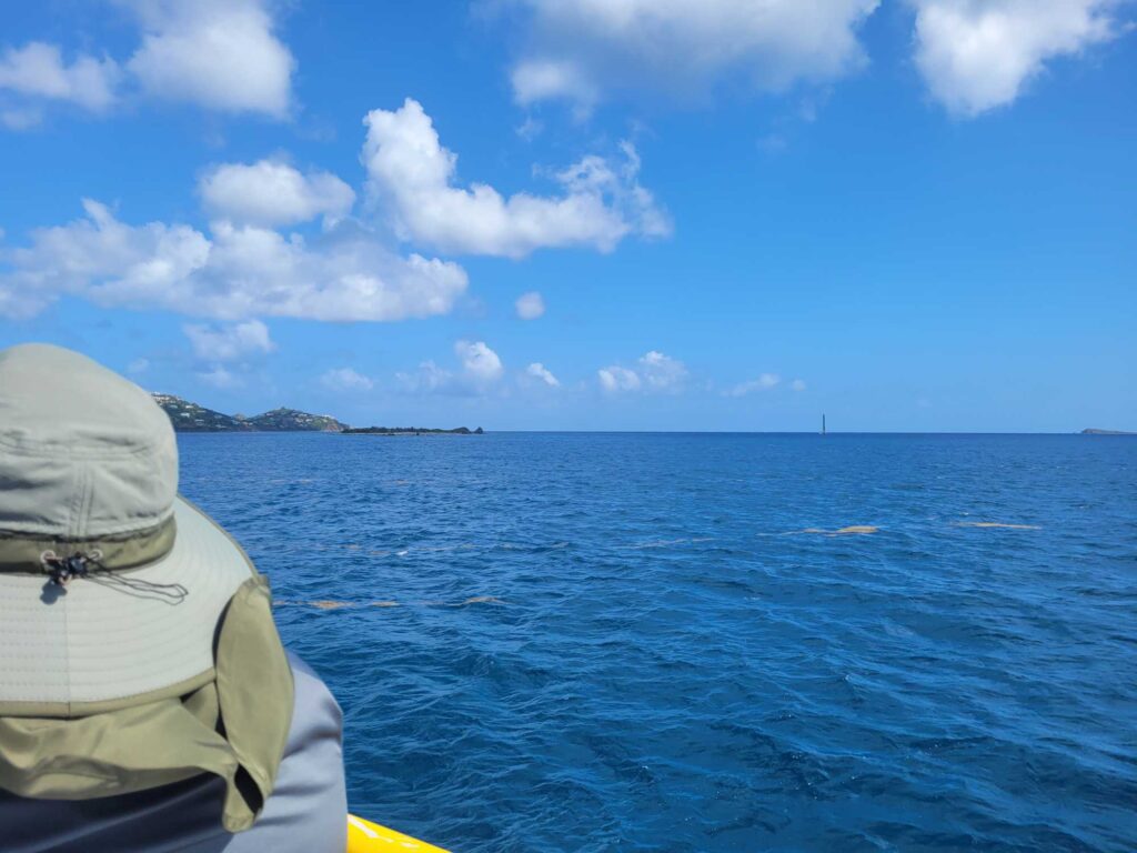 a person looking out over the water (MyCoast AI)