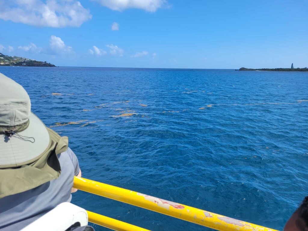 a person on a boat looking at a body of water (MyCoast AI)