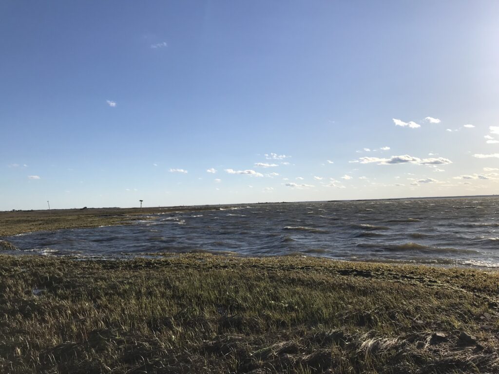 a body of water with grass and a land with a blue sky (MyCoast AI)