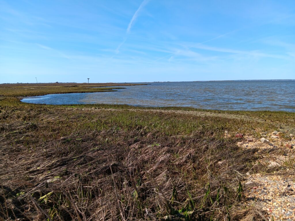 a body of water with grass and sand on the side (MyCoast AI)