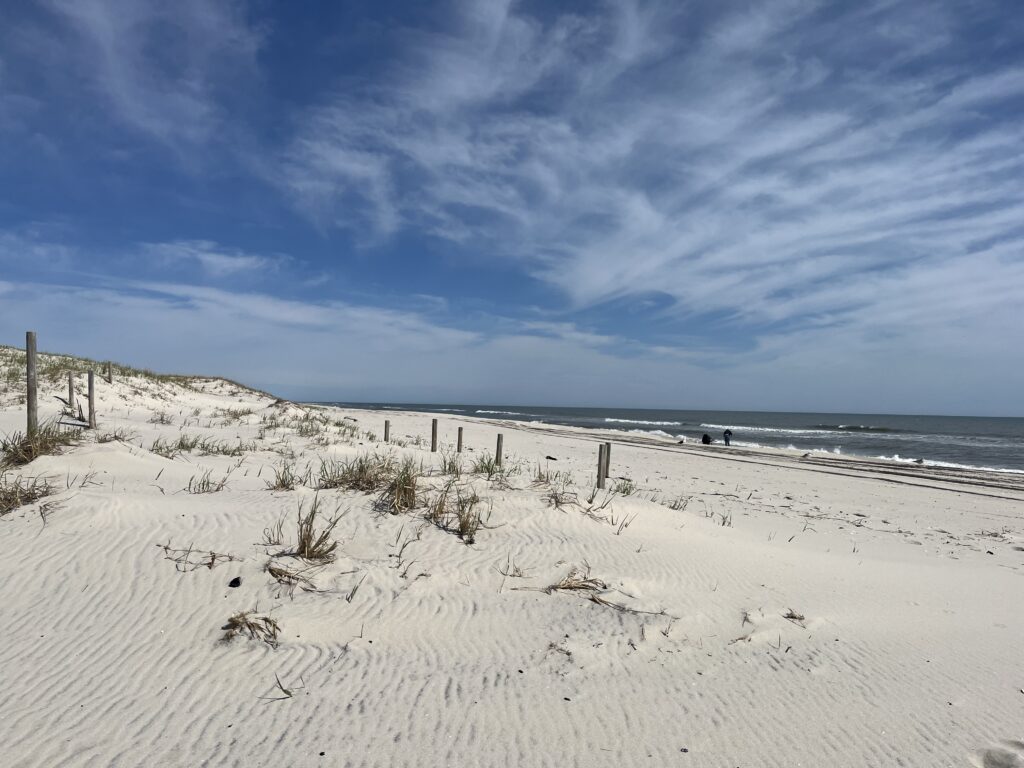 a sandy beach with a fence and blue sky (MyCoast AI)