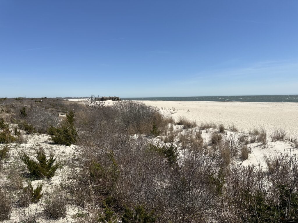 a field of dry grass (MyCoast AI)