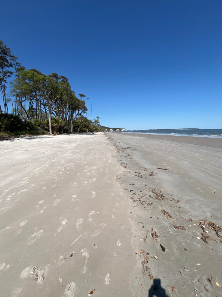 a sandy beach with trees on the side (MyCoast AI)