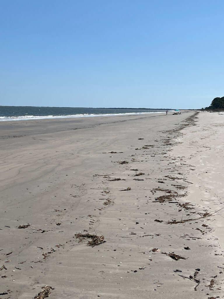 a sandy beach with waves crashing on it (MyCoast AI)