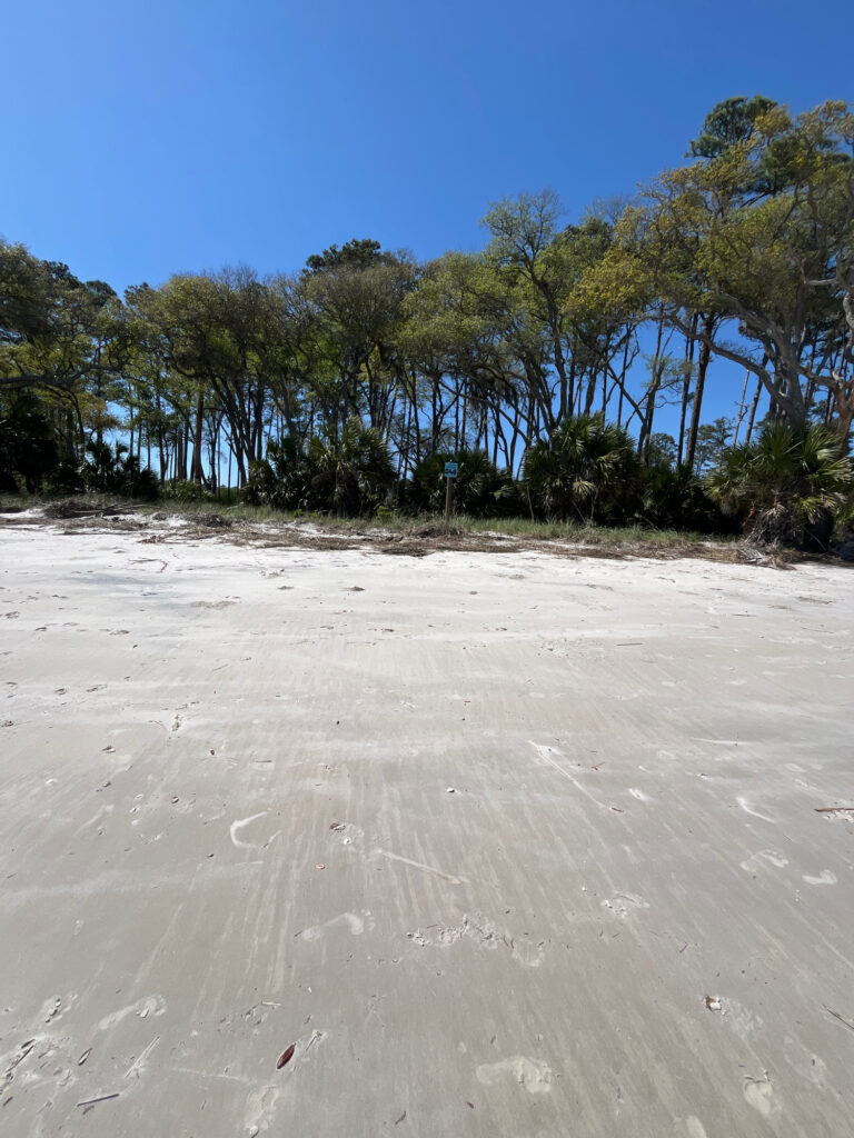 a sandy beach with trees on the side (MyCoast AI)