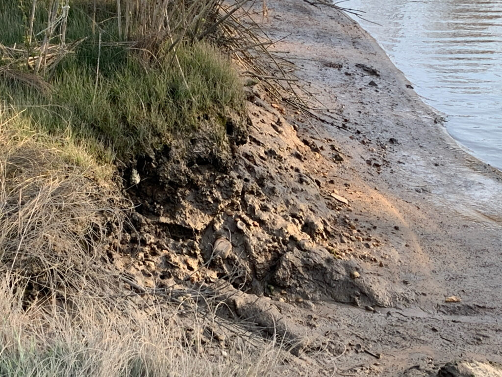 a large pile of dirt next to a body of water (MyCoast AI)