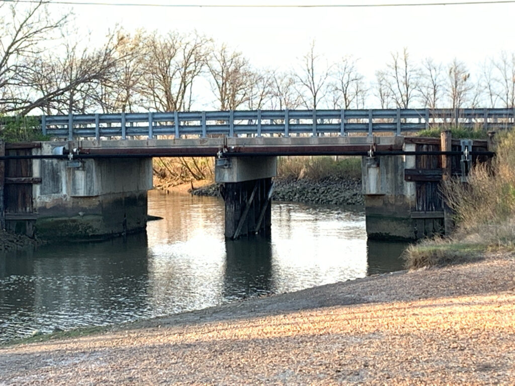 a train on a bridge (MyCoast AI)
