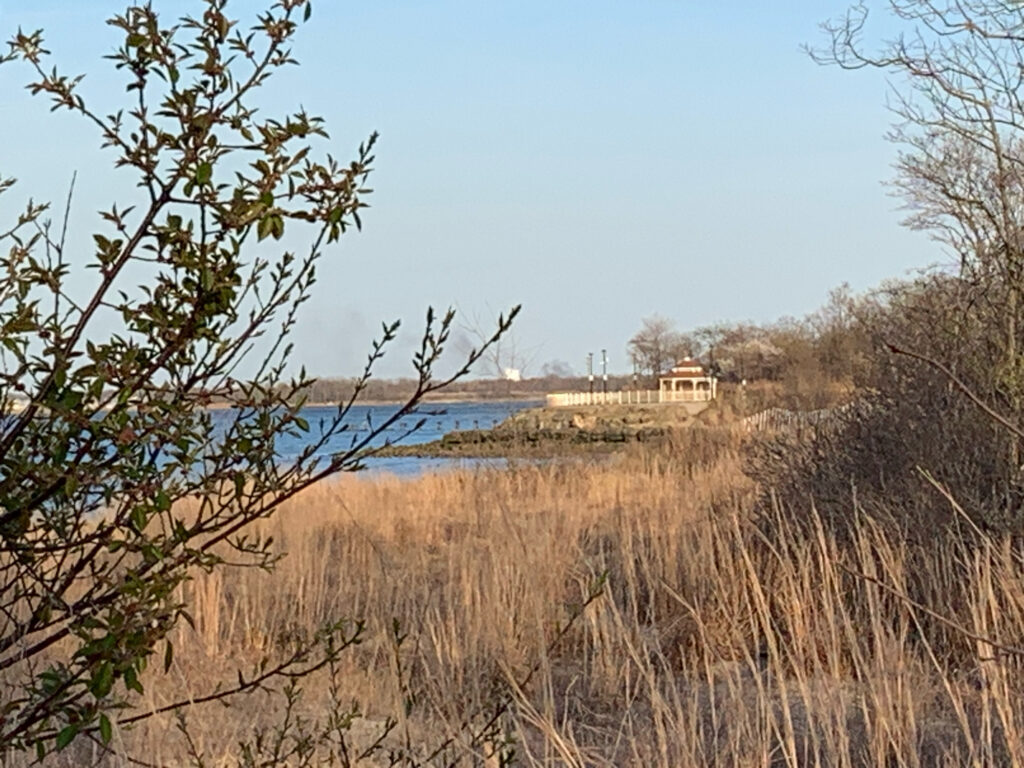 a grassy area with a body of water in the background (MyCoast AI)