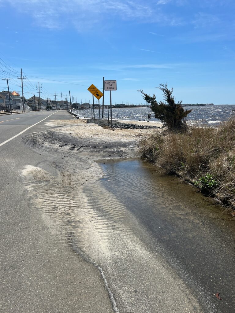 a road with signs on the side (MyCoast AI)