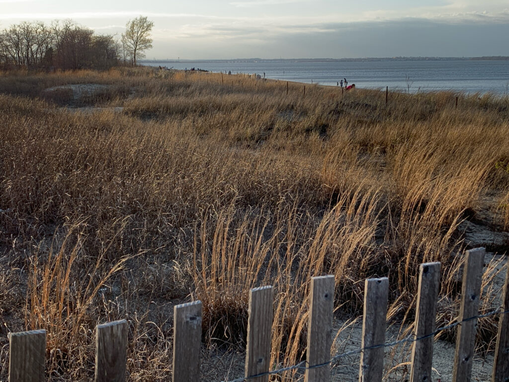 a fence in a field (MyCoast AI)
