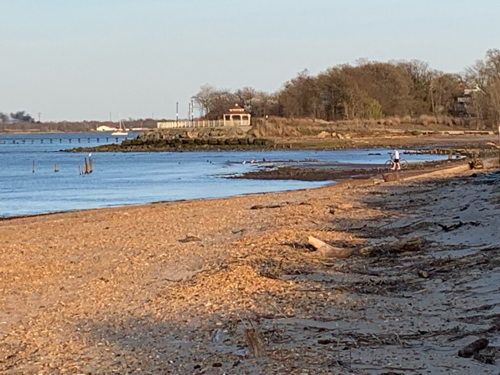 a beach with a building in the background (MyCoast AI)