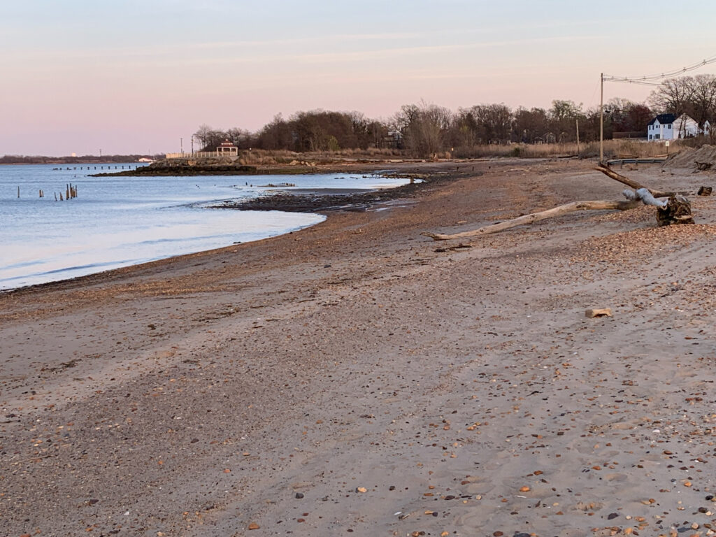 a sandy beach with a body of water and trees in the background (MyCoast AI)