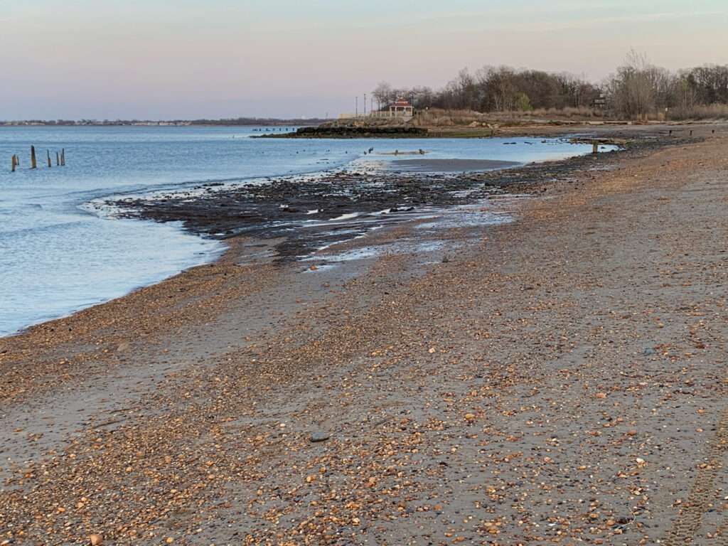 a beach with a body of water (MyCoast AI)