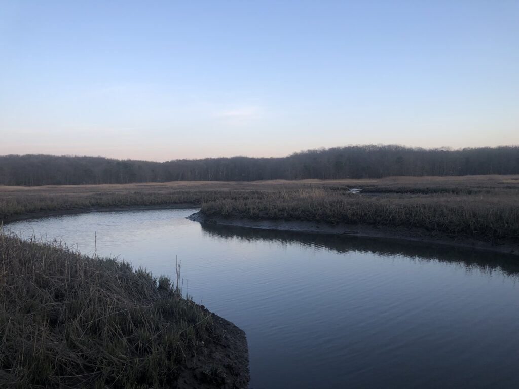 a body of water with grass and trees around it (MyCoast AI)