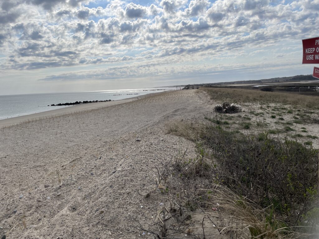 a sandy beach with bushes and water (MyCoast AI)