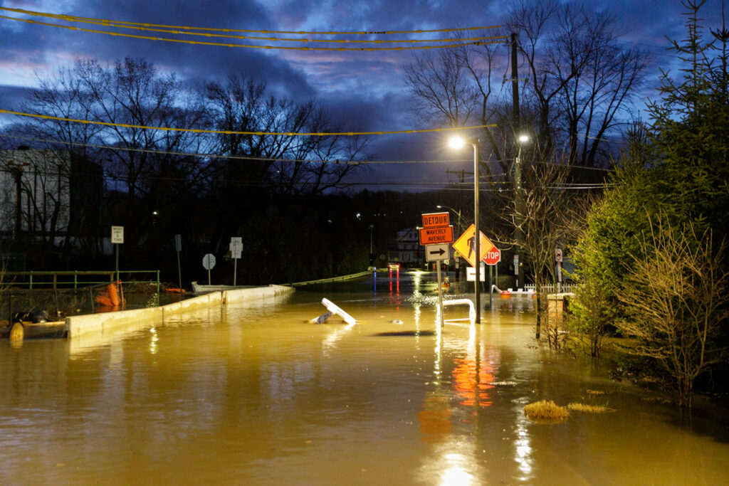 a flooded street with a bird flying (MyCoast AI)