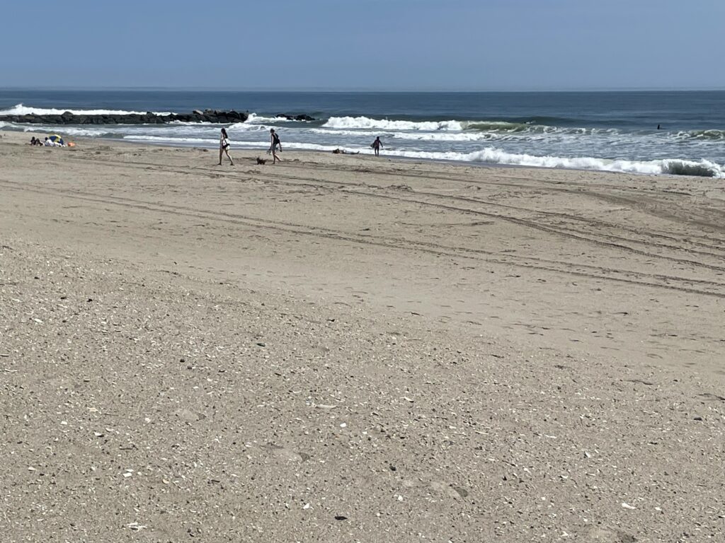 people walking on a beach (MyCoast AI)
