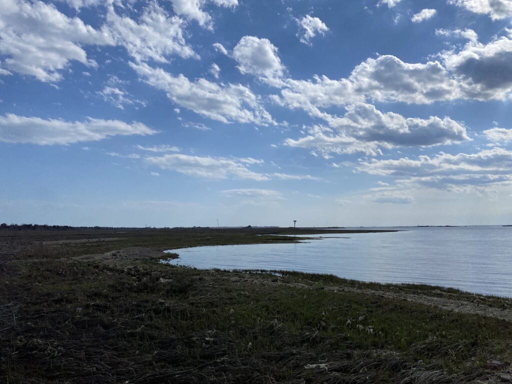 a body of water with grass and a land with clouds above (MyCoast AI)