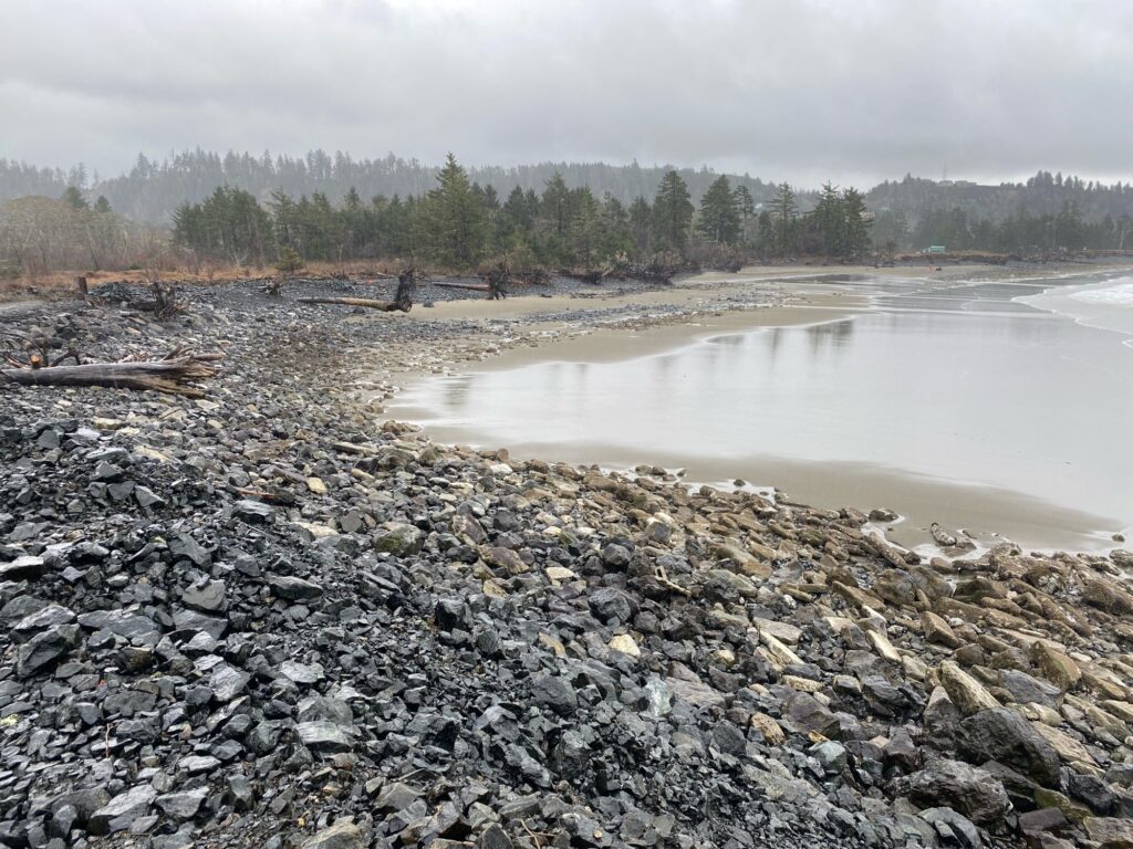 a rocky beach with a body of water and trees in the background (MyCoast AI)