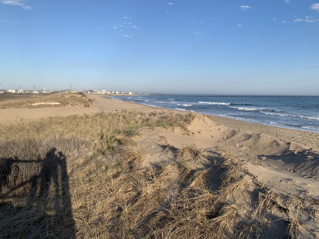 a sandy beach with grass and water (MyCoast AI)