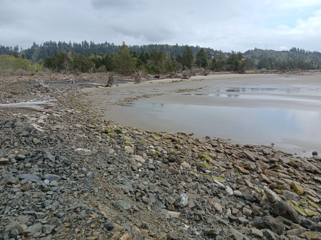 a rocky beach with trees in the background (MyCoast AI)
