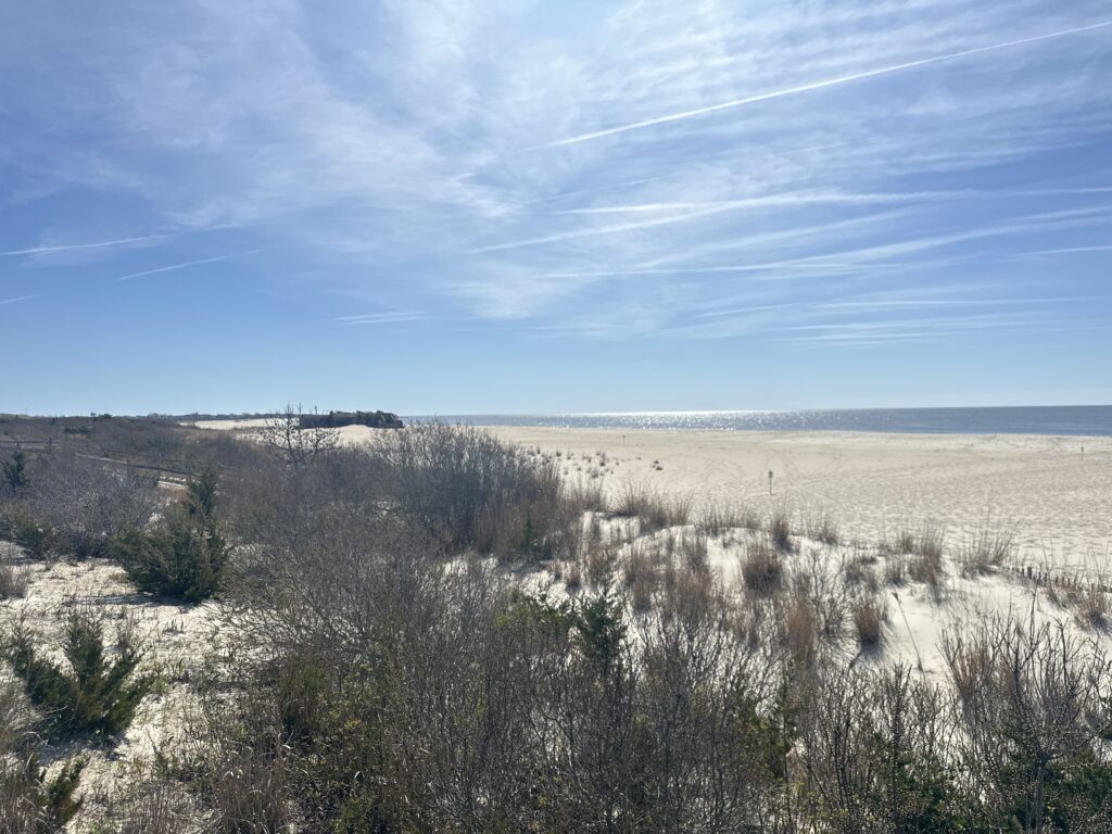 a field of dry grass (MyCoast AI)