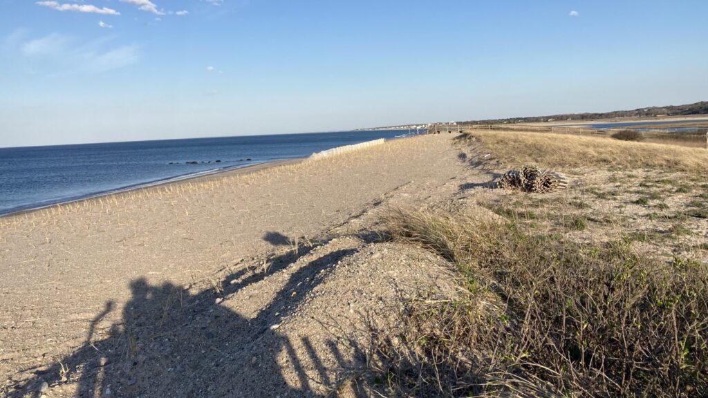 a sandy beach with grass and water (MyCoast AI)