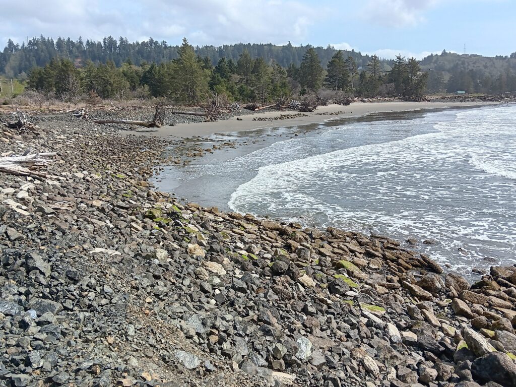 a rocky beach with trees in the background (MyCoast AI)