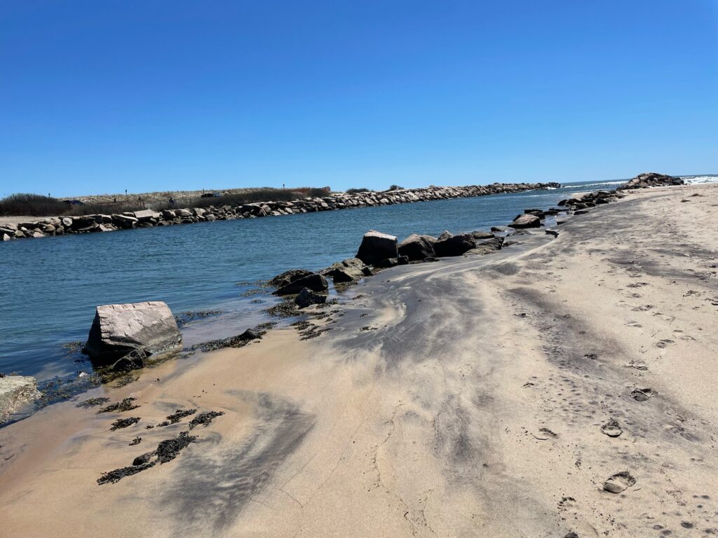 a beach with rocks and water (MyCoast AI)