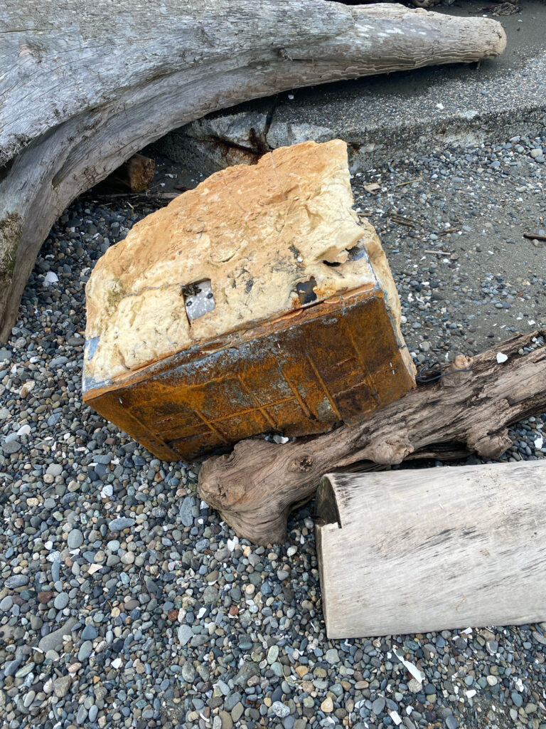 a group of wood pieces on a rocky surface (MyCoast AI)