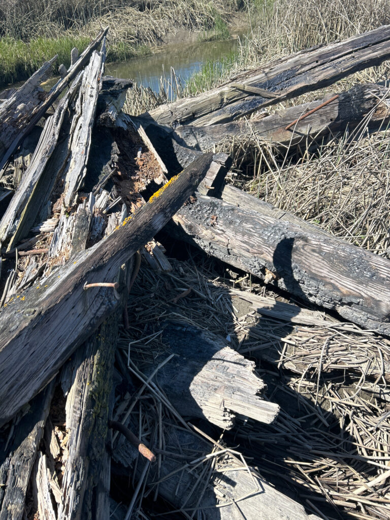 a close-up of a wooden bridge (MyCoast AI)