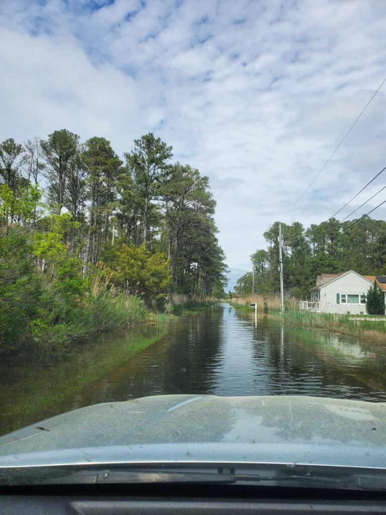 a flooded road with trees on either side of it (MyCoast AI)