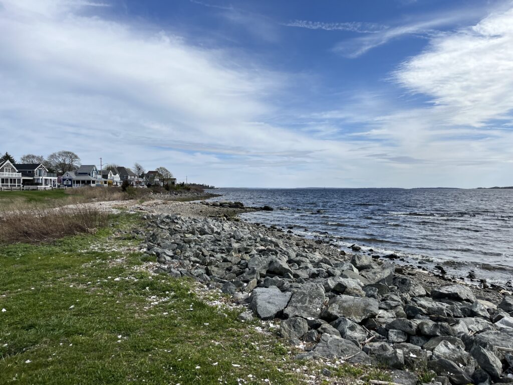 a rocky beach with houses and grass (MyCoast AI)