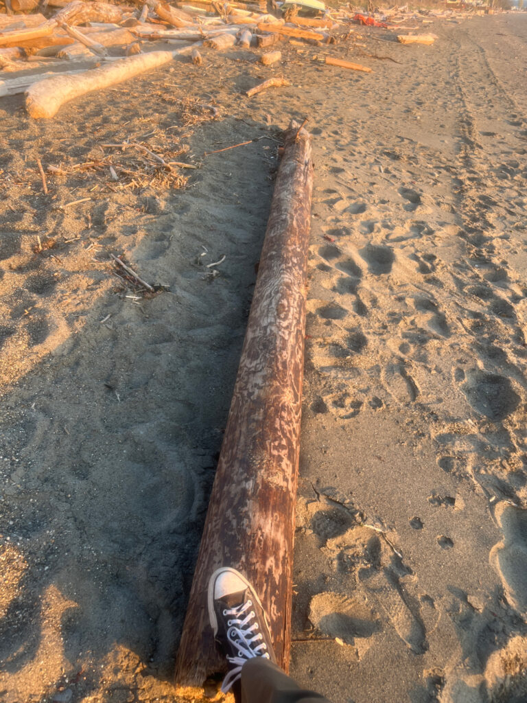 a person's feet on a rock (MyCoast AI)