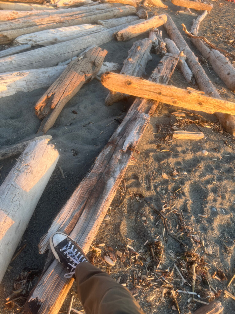 a person's foot on a wooden plank (MyCoast AI)