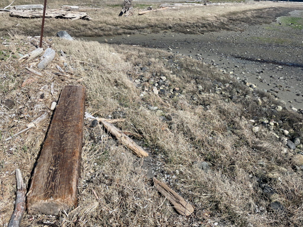 a pile of wood in a field (MyCoast AI)