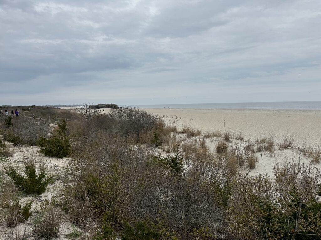 a landscape with bushes and trees (MyCoast AI)