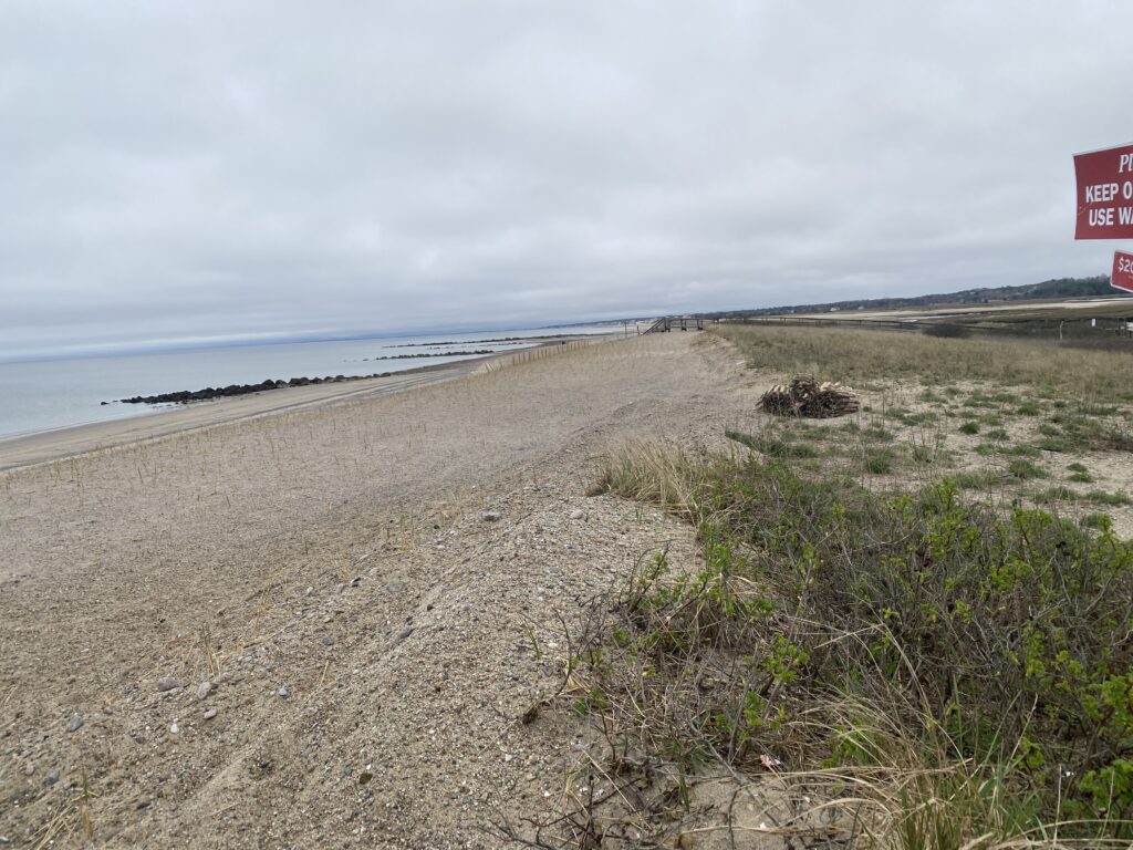 a sandy beach with bushes and grass (MyCoast AI)