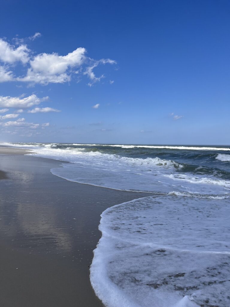 waves crashing on a beach (MyCoast AI)