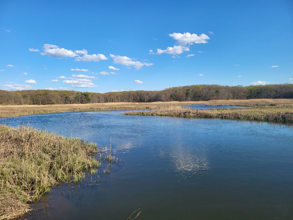 a body of water with grass and trees around it (MyCoast AI)