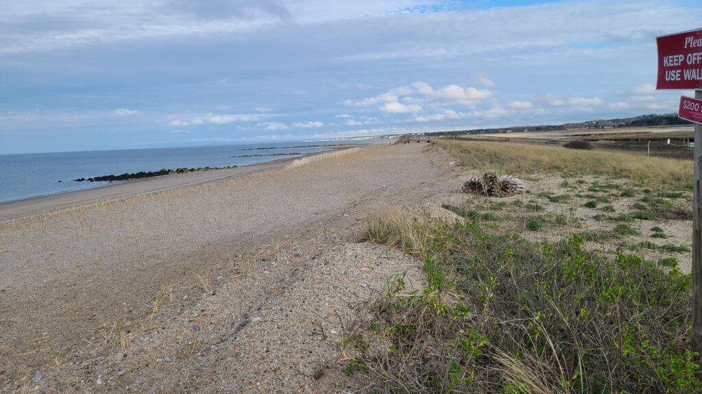 a beach with grass and sand (MyCoast AI)