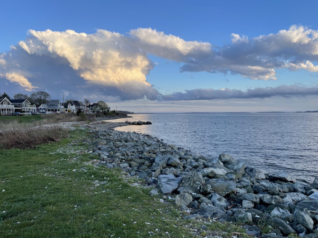 a rocky beach with houses along it (MyCoast AI)
