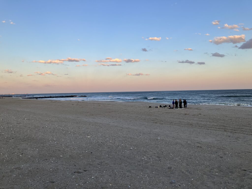 a group of people on a beach (MyCoast AI)