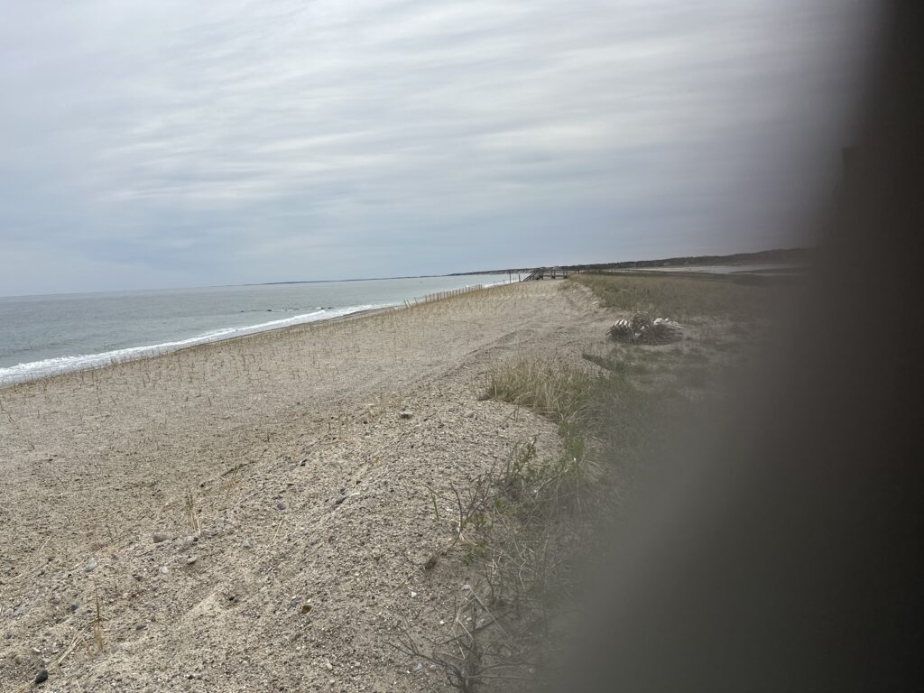 a beach with sand and water (MyCoast AI)