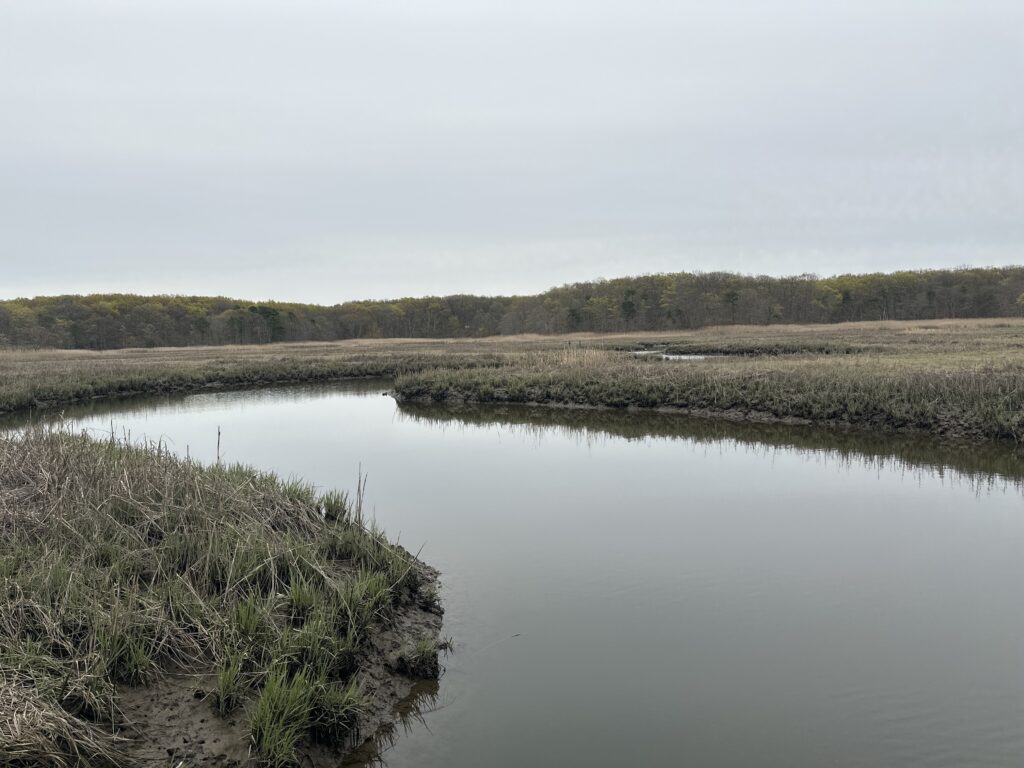 a body of water with grass and trees around it (MyCoast AI)