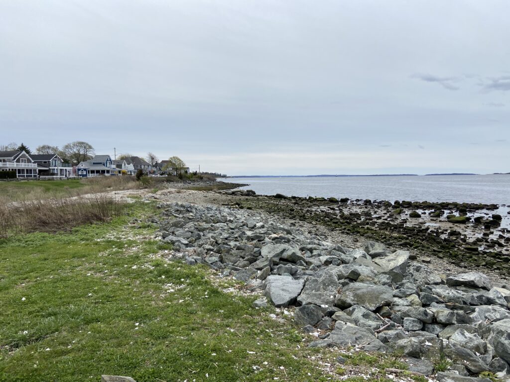 a rocky beach with houses and grass (MyCoast AI)