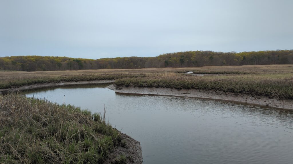 a body of water with grass and trees around it (MyCoast AI)