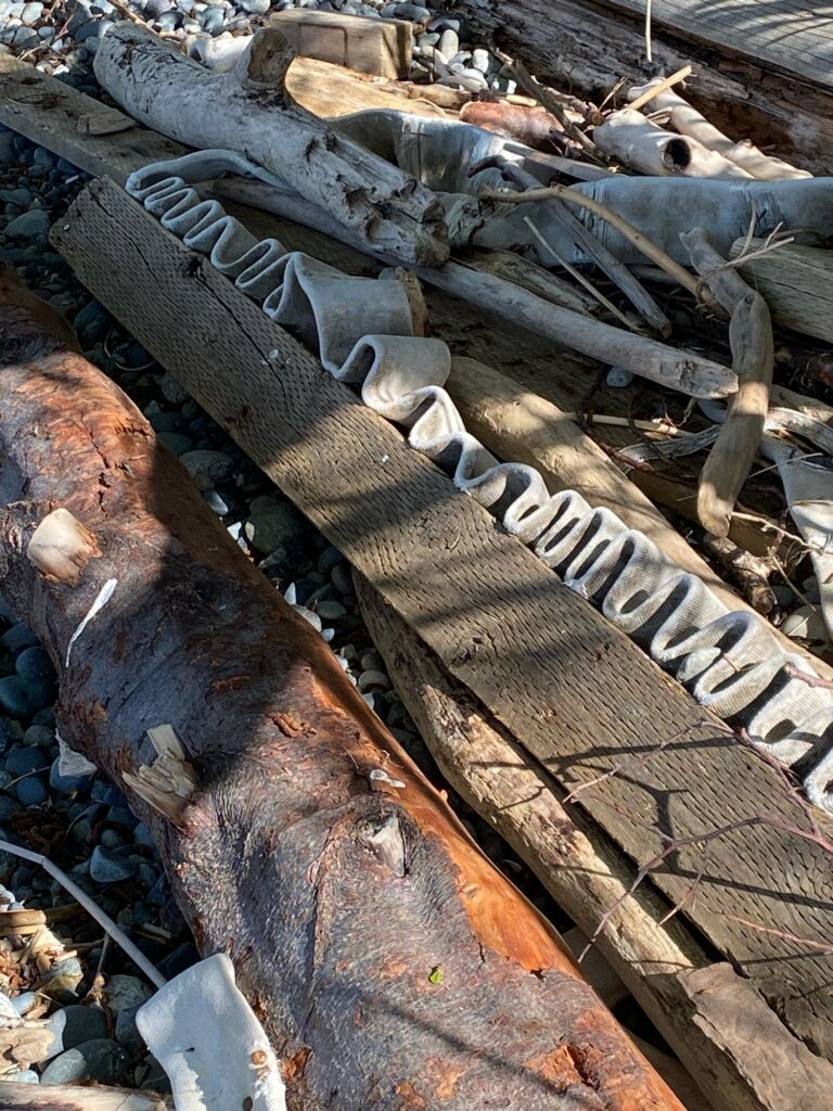 a pile of wood (MyCoast AI)
