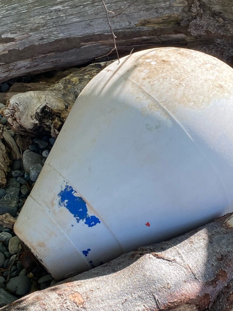a white plastic container with blue writing on it (MyCoast AI)