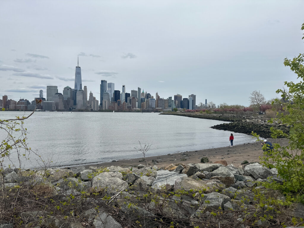 a person walking on a rocky shore by a body of water with a city in the background (MyCoast AI)
